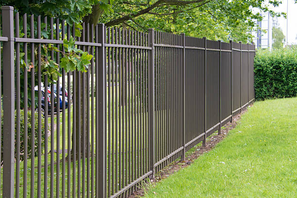 Metal and wire fencing marking a garden boundary